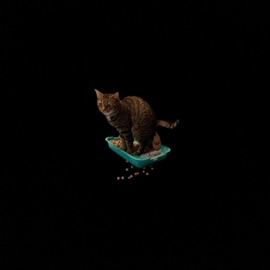 я хз чиво мине делать AHAYO