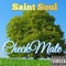 Checkmate - Saint soul lyrics