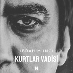 Kurtlar Vadi̇si̇