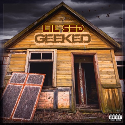 Geeked - Single