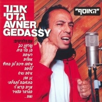 אבנר גדסי - האוסף - Avner Gadasi