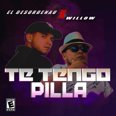 Te Tengo Pilla (feat. El Desordenau) - Single