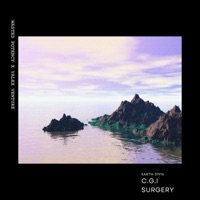 Earth-31916 (C.G.I Surgery) (feat. Valex Venture) - Single - Wasted Potency