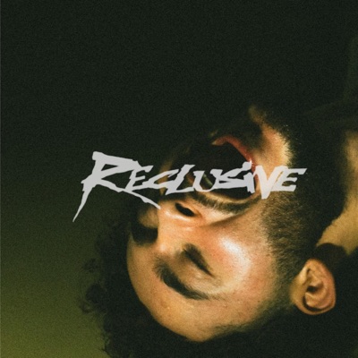 Reclusive - Single