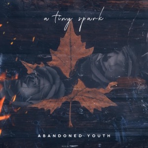 Abandoned Youth