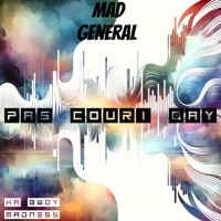 Pas couri bay - Single - Mad General