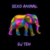 Sexo Animal - Single