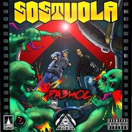 Картина обманчива (feat. Новокая & Н.П.М.) SOSTVOLA