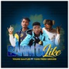 Banm on Like (feat. Yung Fresh Ground) - Single