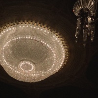 Roses - Single - WOSK