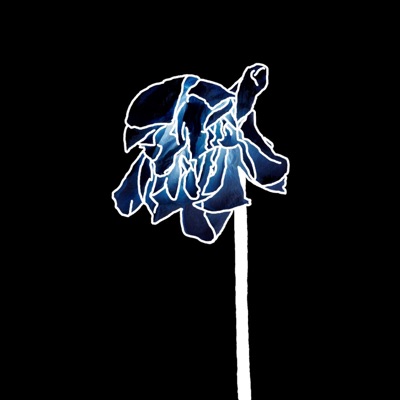 Astheflowersdecay (feat. Puhf) - Single