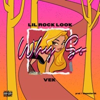 Why So - Single - Sheeesh Hardik, LIL Rock Look & Vek