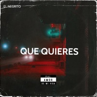 que quieres - Single - el negrito