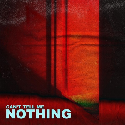 Can't Tell Me Nothing - Single