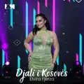 Djali I Kosoves