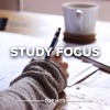 Simon Ghraichy The fog of war Study Focus 2022