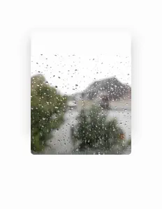 우리동네 피아노을(를) 듣고, 뮤직 비디오를 보고, 약력을 읽고, 투어 일정 등을 확인하세요!