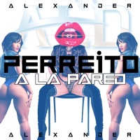 Perreito a la pared - Single - Alexander Oficial