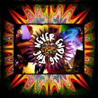 The Never Ending - Jorge O.