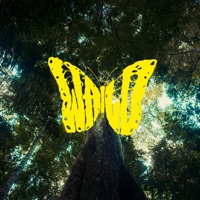 Wald - Single - Marteria & Nobodys Face