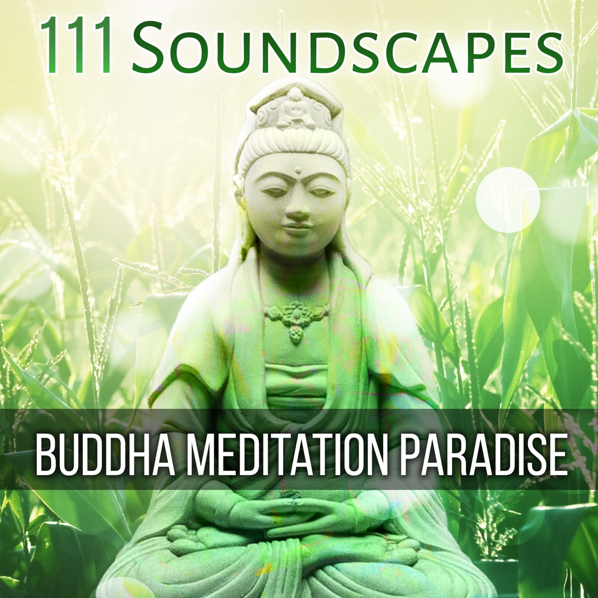 Third Eye Chakra Ajna Meditative: Buddha's Healing Music, Balance the 7  Chakras, Pineal Gland Activation Frequency - Album by Buddhism Academy &  Buddhist Meditation Music Set - Apple Music