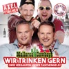 Wir trinken gern (Wir versaufen unser Taschengeld) - Single