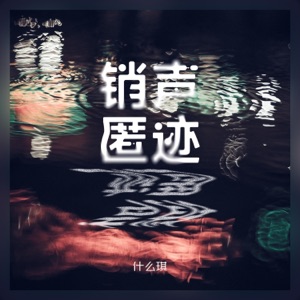 销声匿迹 - Single