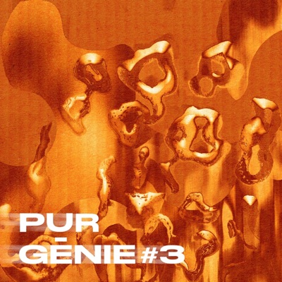 Pur Génie #3 (feat. Amesy) - Single