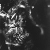 Ulalume - Single