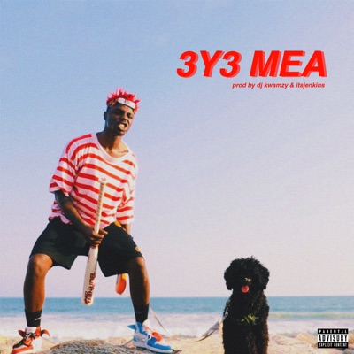 3y3 Mea (feat. Brudda Nay) - Single
