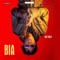 Bia - Wiz Child lyrics