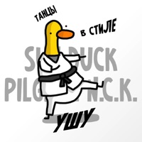 Танцы в стиле ушу - Single - Sun Duck & PilGrim n.C.K.