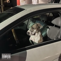 Slide (feat. Shayne Richard) - Single - NicOMG