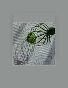 Ascolta Jude Robinson, guarda video musicali, leggi la biografia, vedi le date del tour & altro!