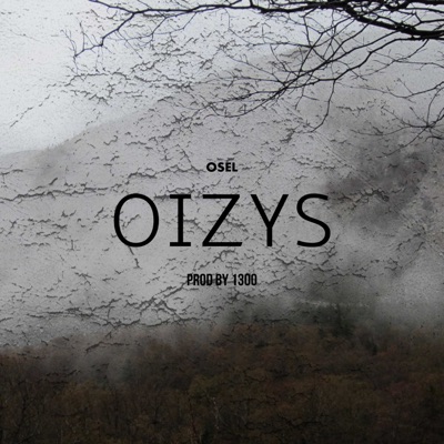 Oizys - Single