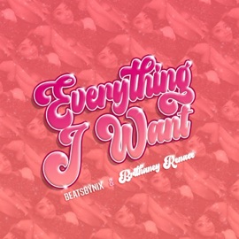 Everything I Want (feat. Brithaney Renaee) BeatsByNIX