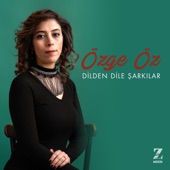 Dilden Dile Şarkılar artwork