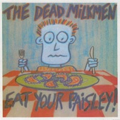 The Dead Milkmen - I Hear Your Name