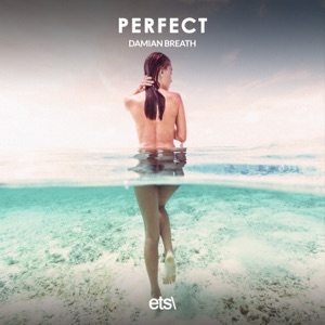 Perfect - Single