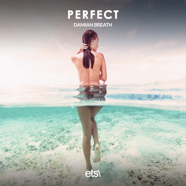 Perfect - Single