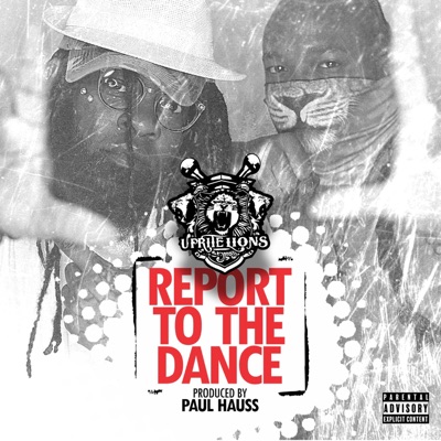 Report to the Dance (Dancefloor) [Special Version] - Single