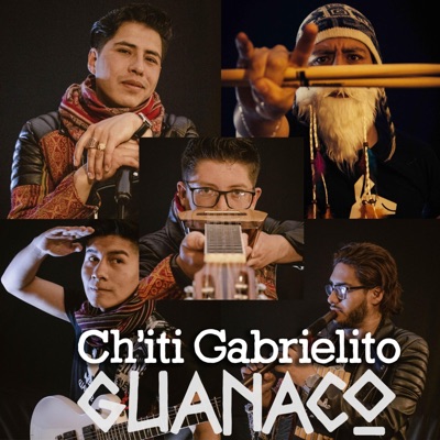 Guanaco - Chiti Gabrielito