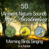 Relaxing Piano and Sounds of Birds - Singing Birds Zone