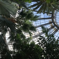 Detroitpill - Single - 3LI