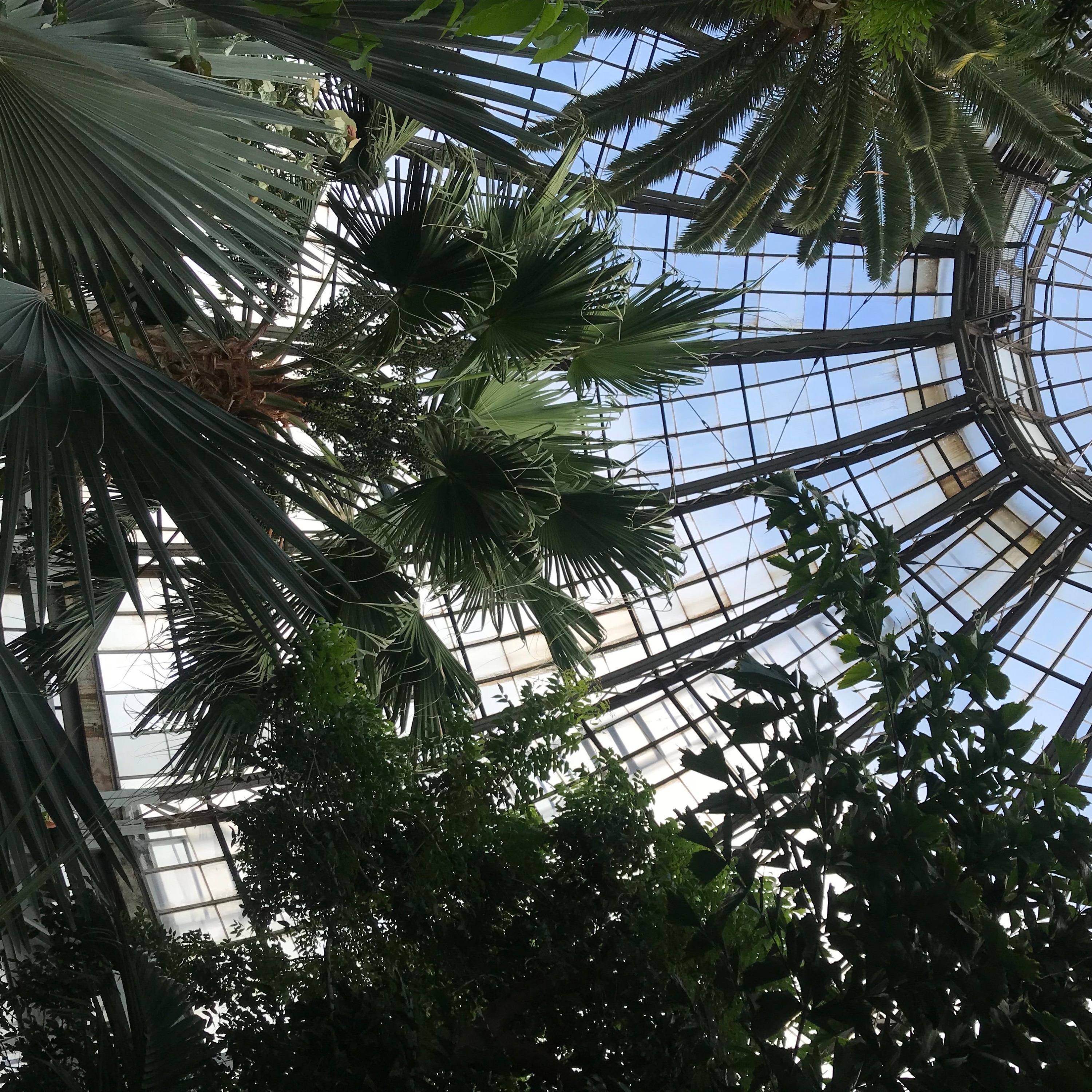 Detroitpill - Single