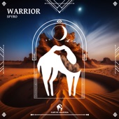 Warrior artwork