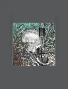 Listen to Orchid, watch music videos, read bio, see tour dates & more!