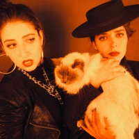 Pump It - Single - Cohen