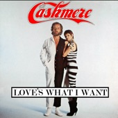 Love's What I Want (Extended Version) artwork