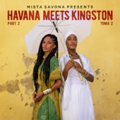 Havana Meets Kingston - Reggae Y Son (feat. Pepe Ordas, Maikel Ante, La Armada, Prince Alla, Brenda Navarrete, Telmary, Randy Valentine & El Medico)